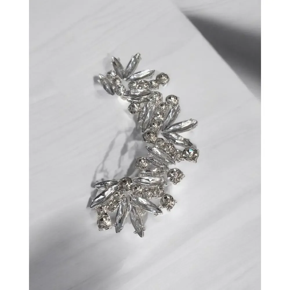 Luxury Right One Piece Silver Earring - Picture 3 of 6